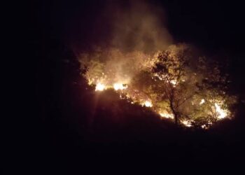 Ciri-ciri kemunculan “Puang Tanre Wara” Penguasa Puncak Bukit Mampu