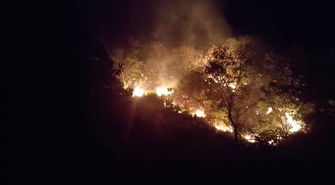 Ciri-ciri kemunculan “Puang Tanre Wara” Penguasa Puncak Bukit Mampu