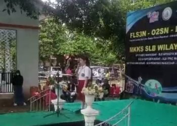 Sebuah Kisah dari Seleksi